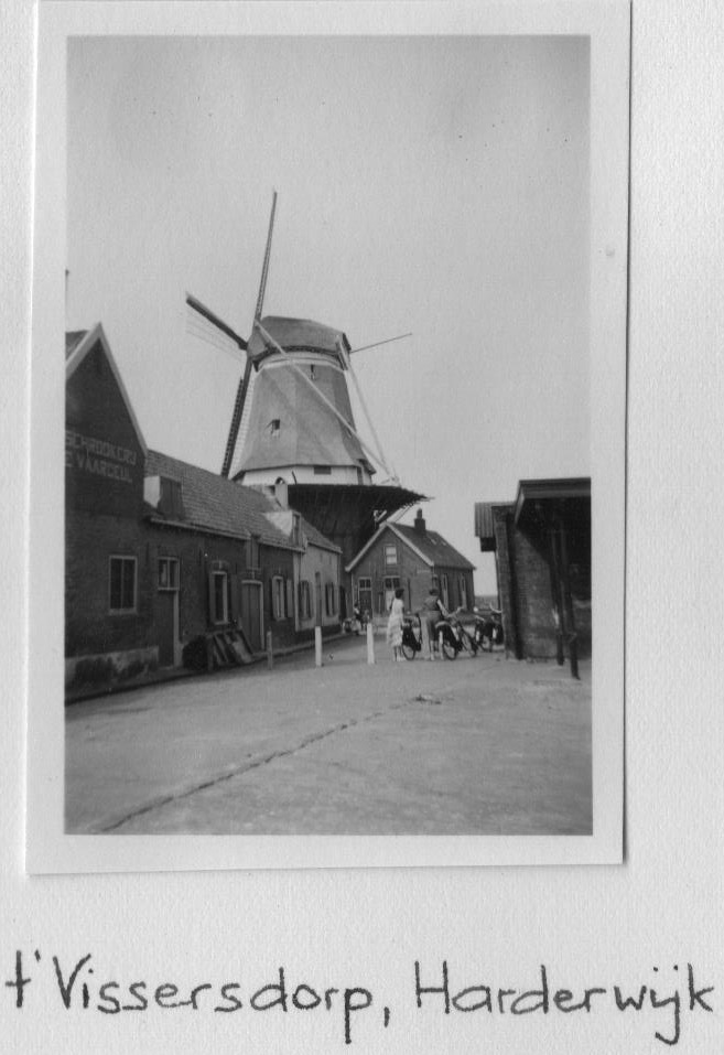 molen Harderwijk